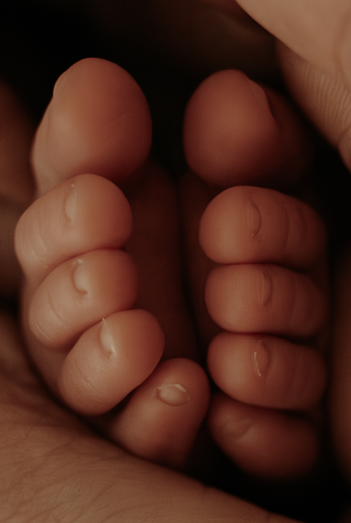 Detailaufnahme Babyfüße Neugeborenes Fotografie Viersen