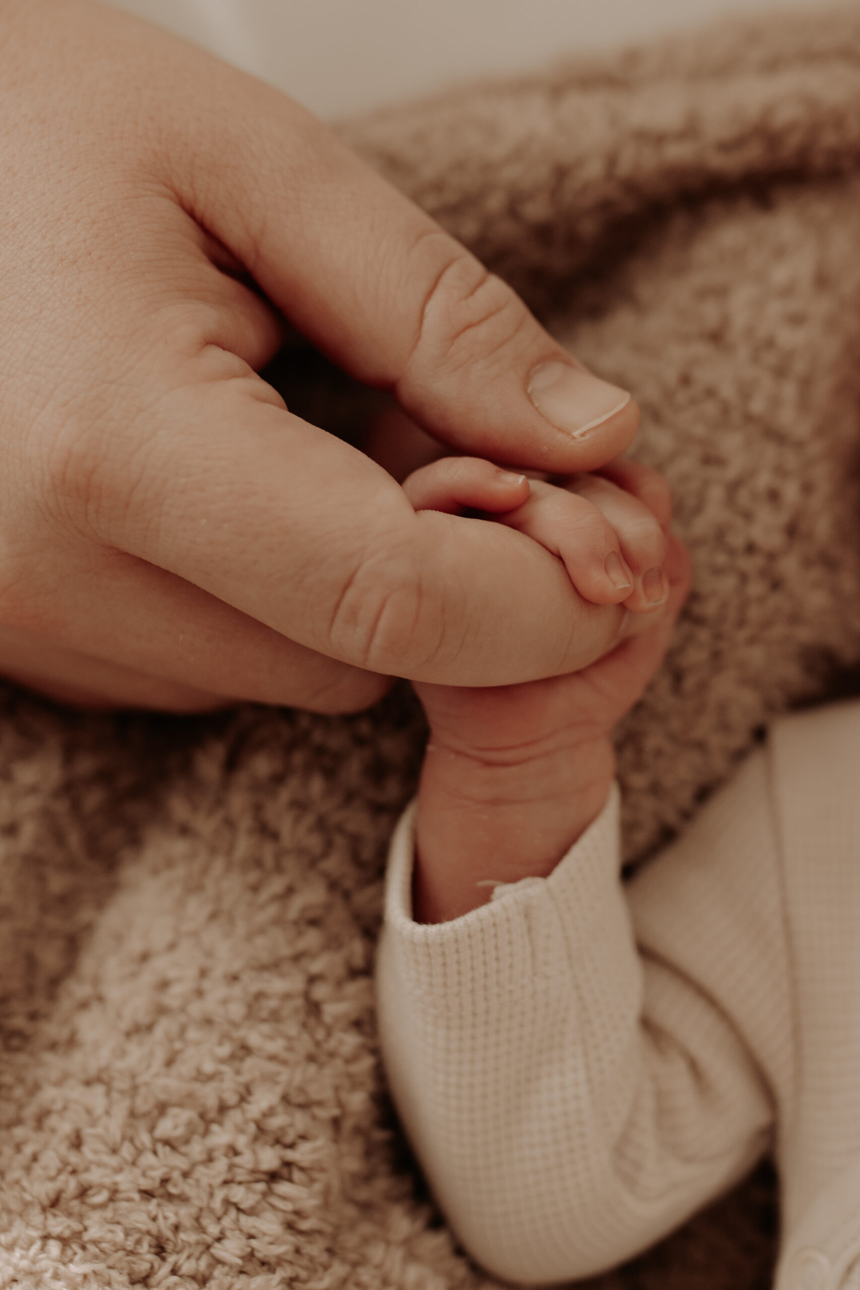 kleine Babyhände Makroaufnahme Newborn Shooting NRW