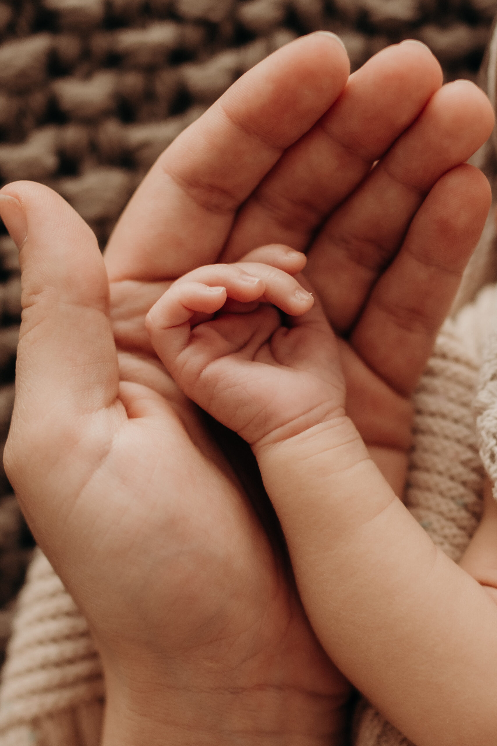 Nahaufnahme von Babyhänden und Babyfüßen bei einem Newborn Shooting